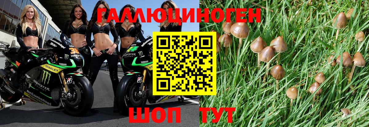 Ялуторовск  Галлюциногенные грибы мухоморы  Вход с VPN 
